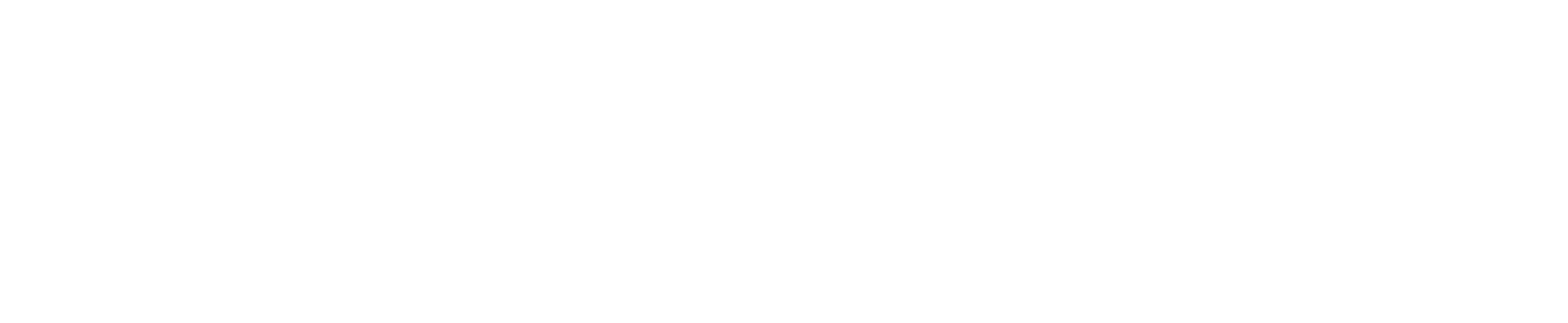 AvatarExperto